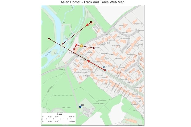 Image of a screenshot from the Track and Trace app entitled , 'Asian Hornet - Track and Trace Web Map'