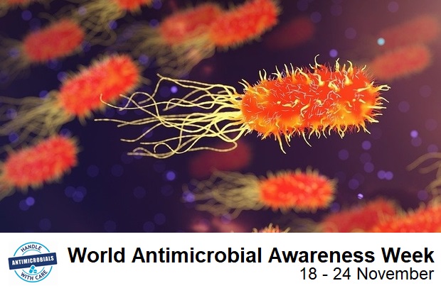 Image of bacteria with the words: World Antimicrobial Awareness Week 19 - 24 November below. Handle antibiotics with care logo below.