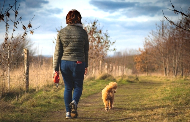 Lady walking with her dog