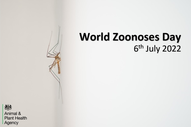 Image of a mosquito next to the text, 'World Zoonoses Day 6th July 2022'