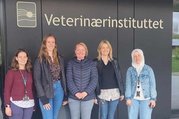 Image of five females standing outside the Norwegian Veterinary Institute