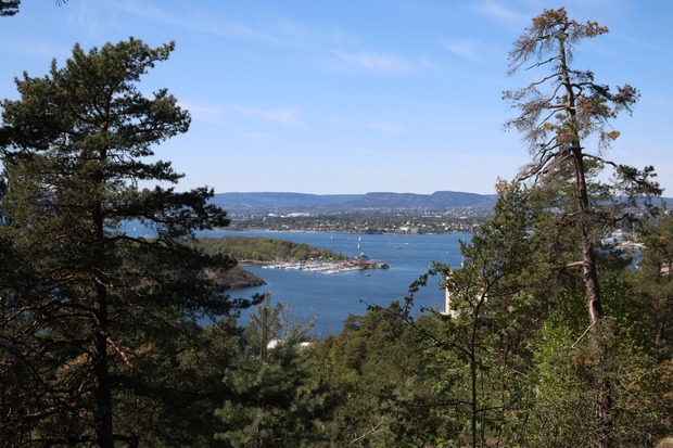 Image of a body of water as seen through trees