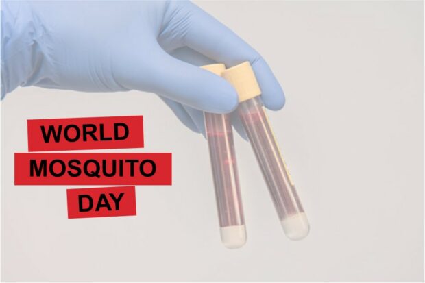 Image of a gloved hand holding two files of blood next to the title, "World Mosquito Day"