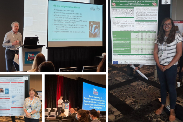 Image split into four sections: a man standing at a lectern aside a presentation showing an image of a badger and some text, a female standing in front of a poster presentation, another female standing next to a poster presentation and the same female presenting at the conference in front of an audience.