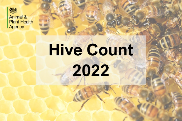 APHA Logo over image of a bee hive with bees and the title 'Hive Count 2022'