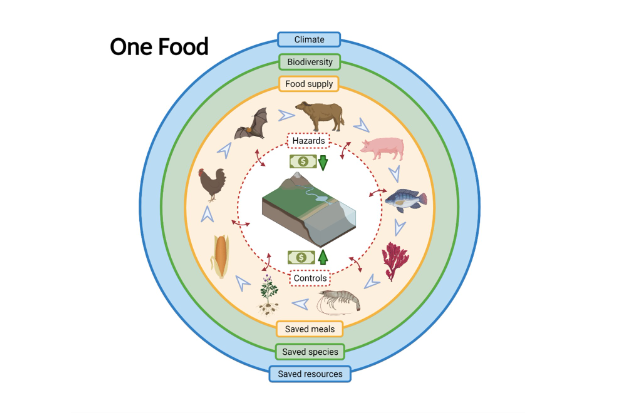 Bullseye style image entitled 'One Food' with four concentric rings entitled (from outer to inner) climate and saved resources, biodiversity and saved species, food supply and saved meals and hazards and controls.