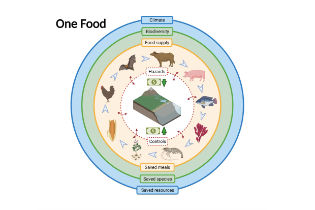 One Food for One Health – APHA Science Blog