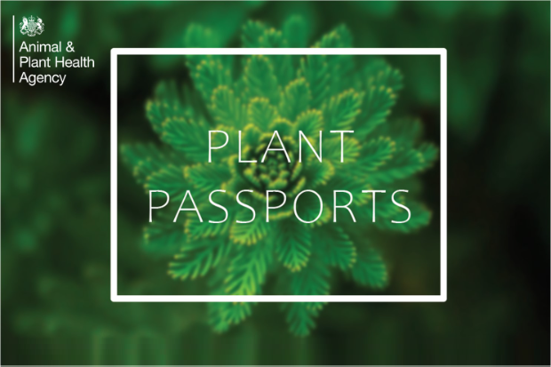 Image of a green plant with the APHA logo and the words, "Plant Passports".