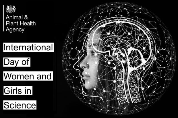 Image of a human female head next to the text, "International Day of Women and Girls in Science" with the APHA logo