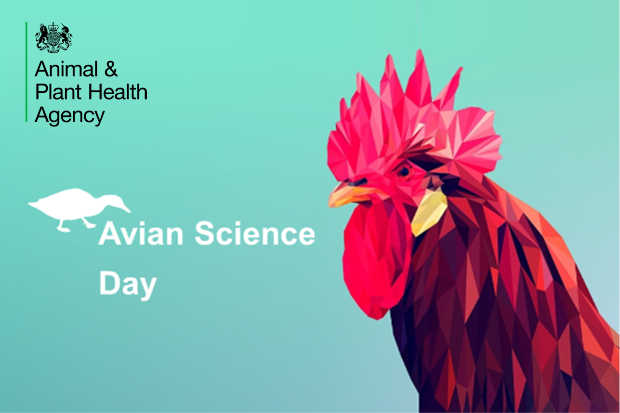 Image of a cockerel with the APHA logo and the words Avian Science Day