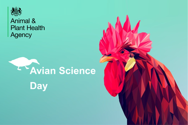 APHA hosts conference on poultry health – APHA Science Blog