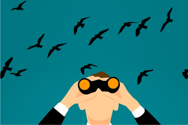 Image of a person using binoculars to view overhead birds