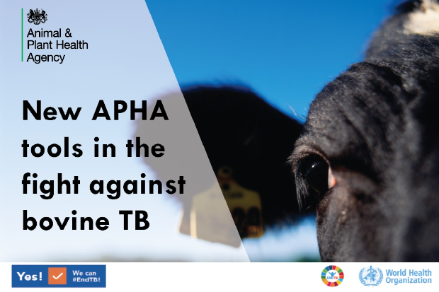 Image of a cow next to the text, "New APHA tools in the fight against bovine TB." The image also has the APHA logo, WHO logo and strapline, "Yes! We can #EndTB!"