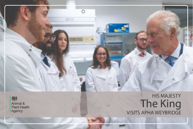 His Majesty the King shaking hands with a male scientist with other scientists in the background. The APHA logo is shown with the text, "His Majesty The King visits APHA Weybridge".