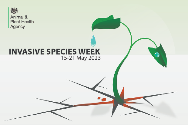 Image of a seedling growing through hard ground with the title, "Invasive Species Week, 15-21 May 2023"