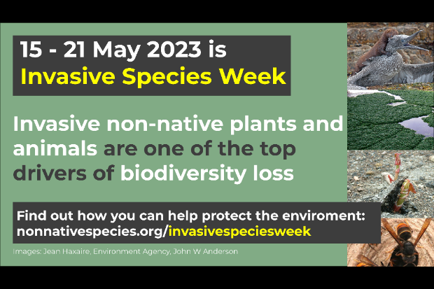 Advert for Invasive Species Week. Text reads, "15-21 May is Invasive Species Week. Invasive non-native plants and animals are one of the top drivers of biodiversity loss. Find out how you can help protect the environment: nonnativespecies.org/invasivespeciesweek."
