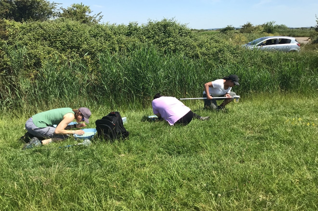 Image of individuals grouching in a grassy area