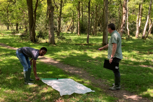 Image of two makes standing next to a net placed on the ground below trees