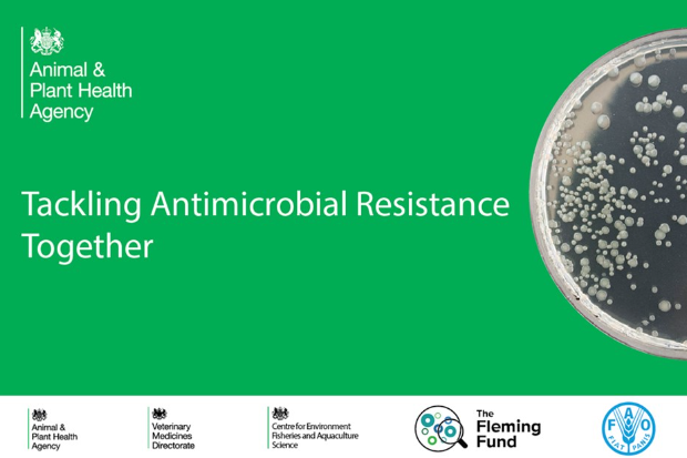 Tackling antimicrobial resistance