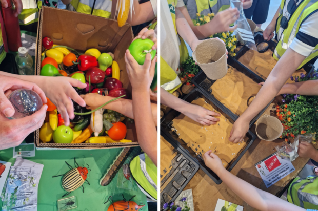 Children's hands handling props including fruit