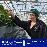Image of a female scientist looking at plants