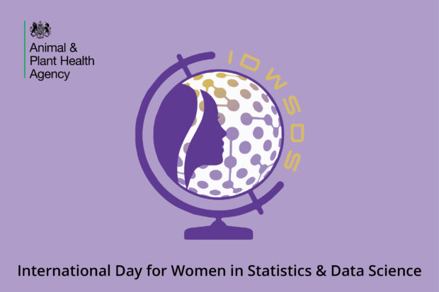 Image of a globe with a female profile with the letters IDWSDS, International Day for Women in Statistics and Data Science
