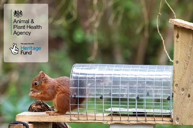APHA logo and the Heritage Fund logo overlaying an image of a red squirrel on a wooden platform, eating