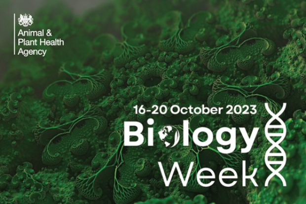Abstract, organic green background with the APHA logo and the Biology Week logo 16-29 October 2023