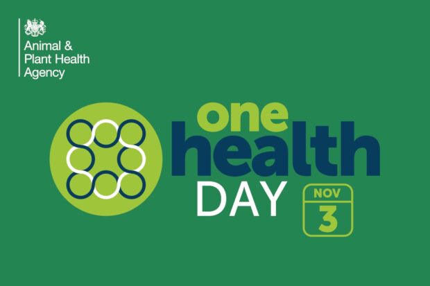 Image of the One Health Day logo - November 3rd
