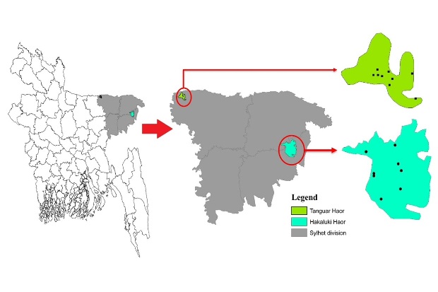 Map of Bangladesh with the Tanguar and Hakaluki Haors areas highlighted.