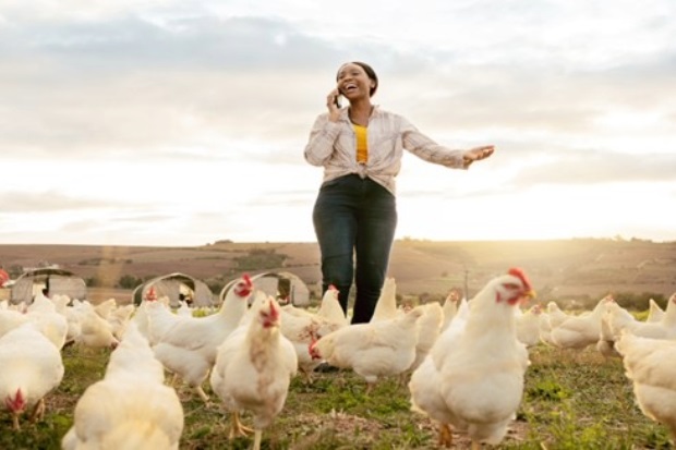 Image of a female talking on a mobile phone in a field of chickens