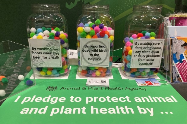 Image of three jars filled with coloured balls. Each jar has a label: "by washing my boots when I've been for a walk", "By reporting dead wild birds to the helpline" and "By making sure I don't bring home any meat, plant or dairy products from other countries". The jars sit on a poster which says, "I pledge to protect animal and plant health by..."