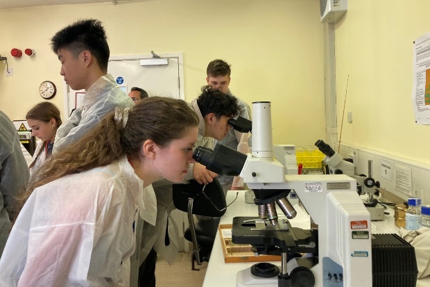 Image of students looking into microscopes