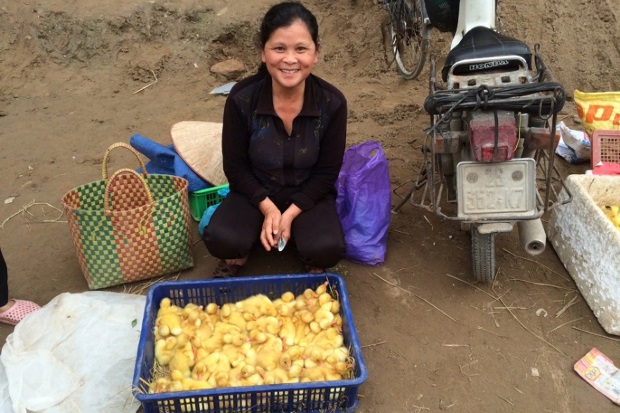 Image of a female sitting on a dirt floor with a basket of chicks in front of her