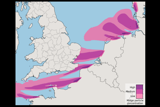 Map of England, Wales and part of Europe with purple and pink waves depicting low to high midge particle concentration