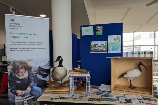 A table with various stuffed animals and leaflets with posters for the Non-Native Species Inspectorate