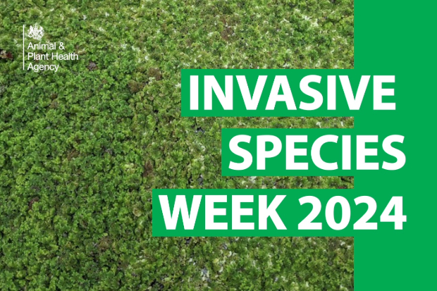 Image of green plants forming a blanket across the image with the title, "Invasive Species Week' across the top and the APHA logo