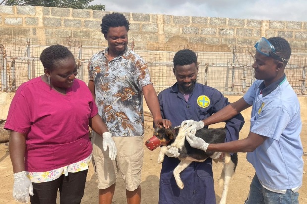 Image of a muzzled dog surrounded by people receiving an injection