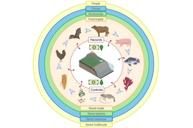 Diagram showing how identifying and controlling hazards saves meals, saves species, saves resources and livelihoods