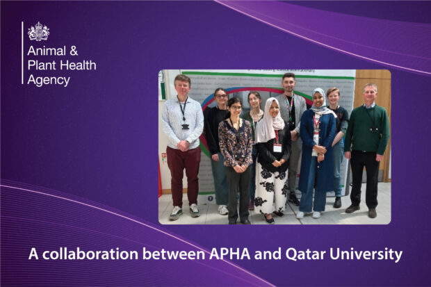 Image of a group of nine individuals standing for a photograph indoors. The APHA logo is displayed and the text, "A collaboration between APHA and Qatar University" is also displayed.