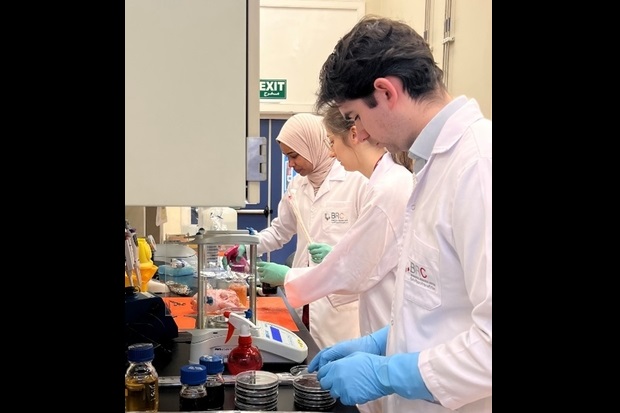 A male and two females working in a laboratory