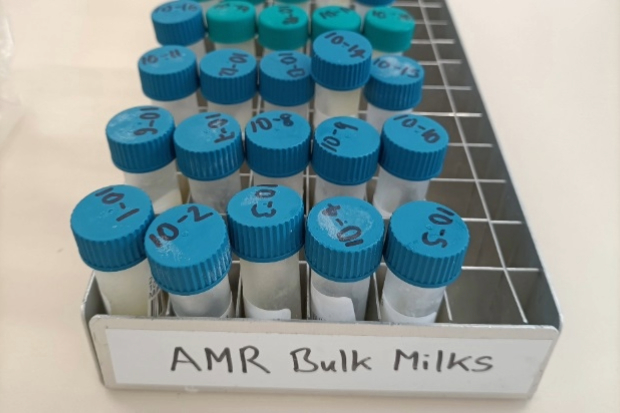 Metal container holding many smaller bottles with labelled blue lids. The container is marked, "AMR Bulk Milks".