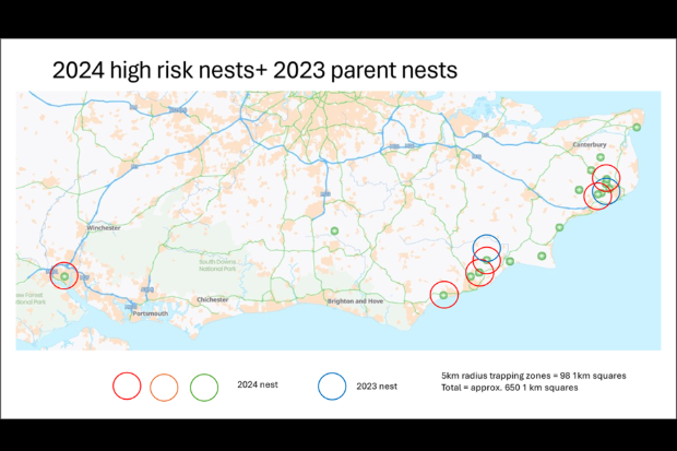 Map of the south east of England with several circled coastal locations indicating where 2024 high risk nests and 2023 parent nests were located.