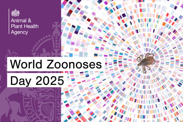 Image of a tick on a brightly coloured background with the text, "World Zoonoses Day 2025" and the APHA logo.