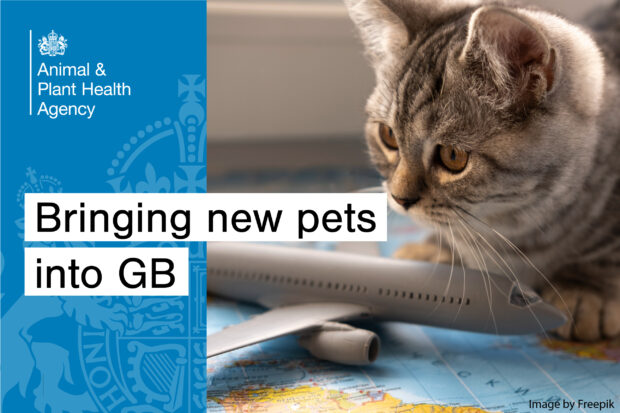 Image of a cat laying on a world map with a toy airplane next to it. The text, "Bringing new pets into GB" shows with the APHA logo.
