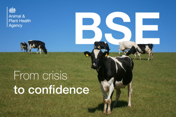 A field of cows with the text, "BSE from crisis to confidence". The APHA logo also appears.