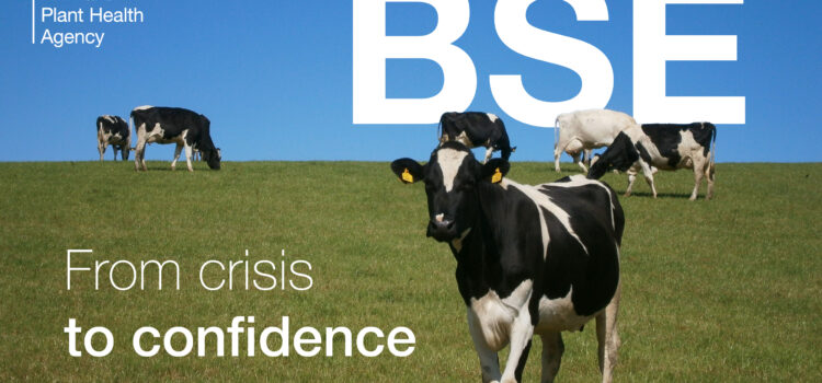 A field of cows with the text, "BSE from crisis to confidence". The APHA logo also appears.
