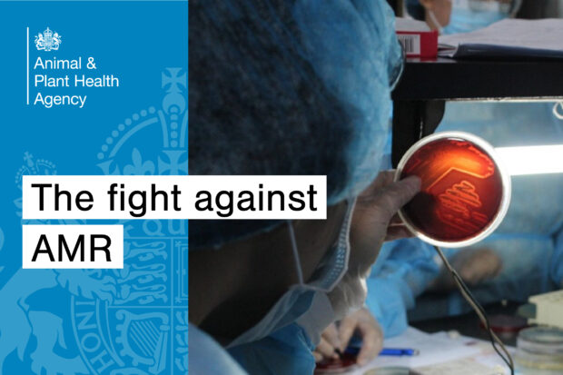 A petri dish with red coloured contents being held up to a light source by a gloved hand in a laboratory setting. The title, "The fight against AMR" is shown alongside the APHA logo.