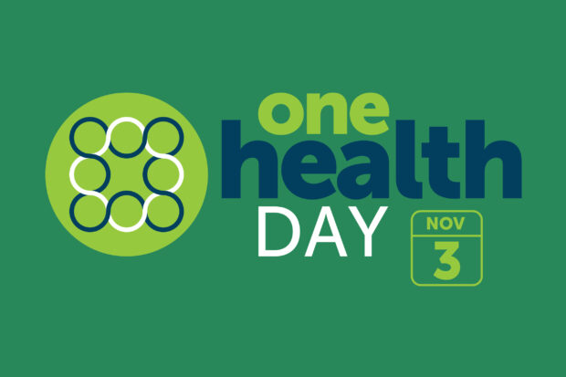One Health Day logo. 3rd November