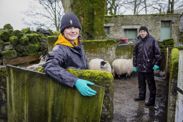 Woman leaning over a farm wall with sheep and a gentleman in the background.